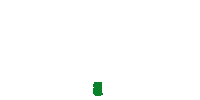 ViitorPlus eco verde sustenabilitate copac Sticker