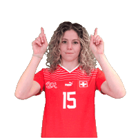 Link Switzerland Sticker by Swiss Football Association