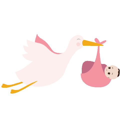 Seans_ph baby bird fly stork Sticker