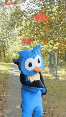 Dance Celebrate GIF by Middlesex Community College