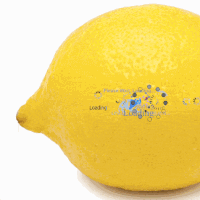 Loading Lemon GIF by _____William Wolfgang Wunderbar