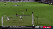 College Cup Goal GIF by Stanford Athletics