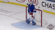 Happy Ice Hockey GIF by NHL
