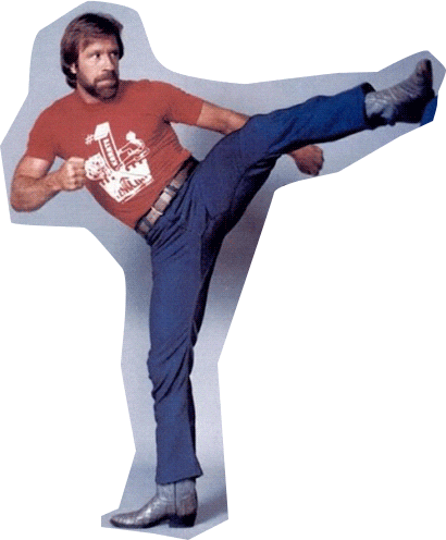 Chuck Norris Art GIF by hAyDiRoKeT