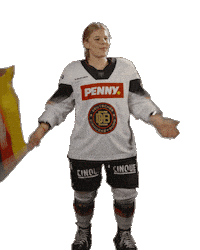 Lets Go Hockey Sticker by deb_teams