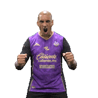 Mazatlan Nahuelpan Sticker by Mazatlán F.C.