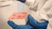 test medicine GIF by University of California
