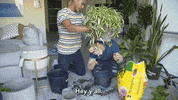 tyleroakley flower youtube house plant GIF