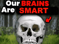 Our Brains GIF