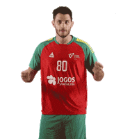 Ehfeuro Sticker by Federação de Andebol de Portugal