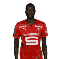 Lets Go Yes Sticker by Stade Rennais F.C.