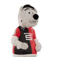 Ligue 1 Football Sticker by Stade Rennais F.C.