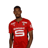 Come On Yes Sticker by Stade Rennais F.C.