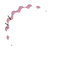 Thanks Thank You Sticker