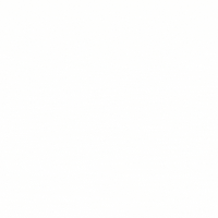Israel GIF by lupa