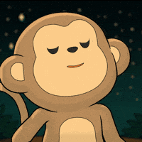 Gm Yes GIF by Wise Monkey Meme