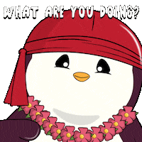 Whats Up Hello GIF by Pudgy Penguins