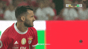 Sl Benfica Rafa GIF by Sport Lisboa e Benfica