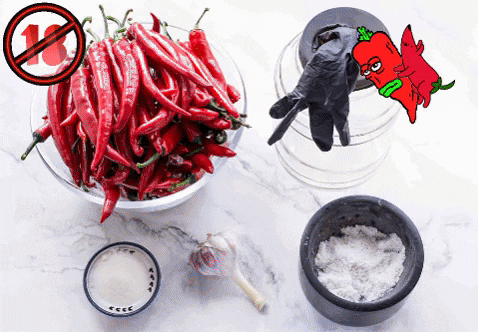 charlevisser giphygifmaker giphyattribution hot spicy GIF