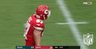 football GIF by NFL