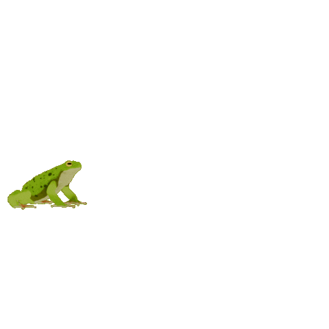 Frog Toad Sticker by Zacxophone