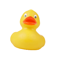 duck apeldoorn Sticker by Blinq - the ultimate carwash