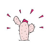 pink beach Sticker by Black Tomato Travel