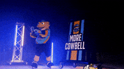 GIF by Toledo Walleye
