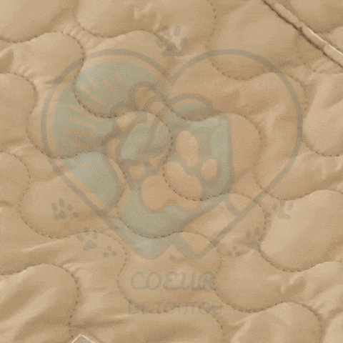 GIF de démonstration CozyRide™