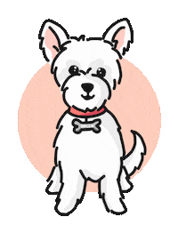 Bellaboo Sticker