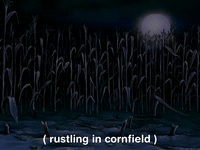 hey arnold nicksplat GIF