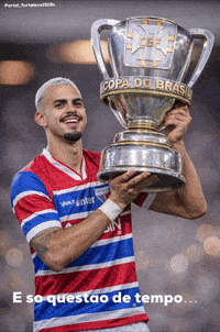 Copa Do Brasil Lion GIF