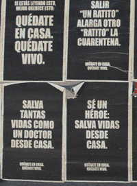 DeficienciaVisual stay home quedate en casa GIF
