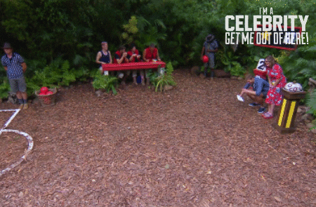 Imacelebrityau GIF by I'm A Celebrity... Get Me Out Of Here! Australia