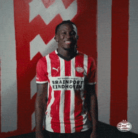 Rode Duivels Home GIF by PSV