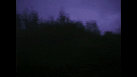 Forest Spinning GIF by Cat Clyde
