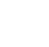 Summer Flower Sticker by Natureventyr