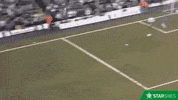 celebrate france GIF by Star Sixes