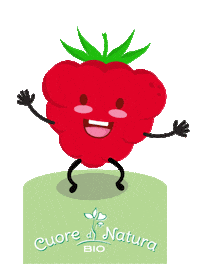 cuoredinatura lampone piccoli intenditori cuore di natura bio omogeneizzati Sticker