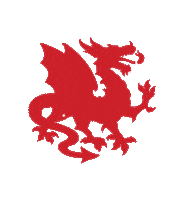 Dragoes Sticker by AAAPO - Atlética Engenharia UFF