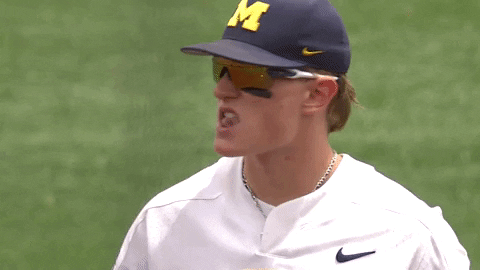 clap michiganbaseball GIF by Michigan Athletics