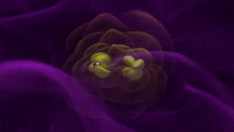 GIF by NASA