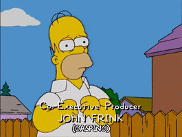 homer simpson GIF