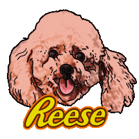 Dog Puppy Sticker