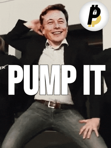 Crypto Meme GIF by BitPal