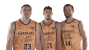 Liga Endesa Basketball Sticker by ACB