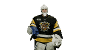 BrantfordBulldogs goalie bulldogs brantford leenders Sticker