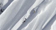 GIF by Red Bull