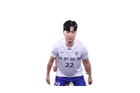 Jumbos Koreanair Sticker by kal_jbos