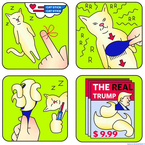 Cat Cartoon GIF by PEEKASSO